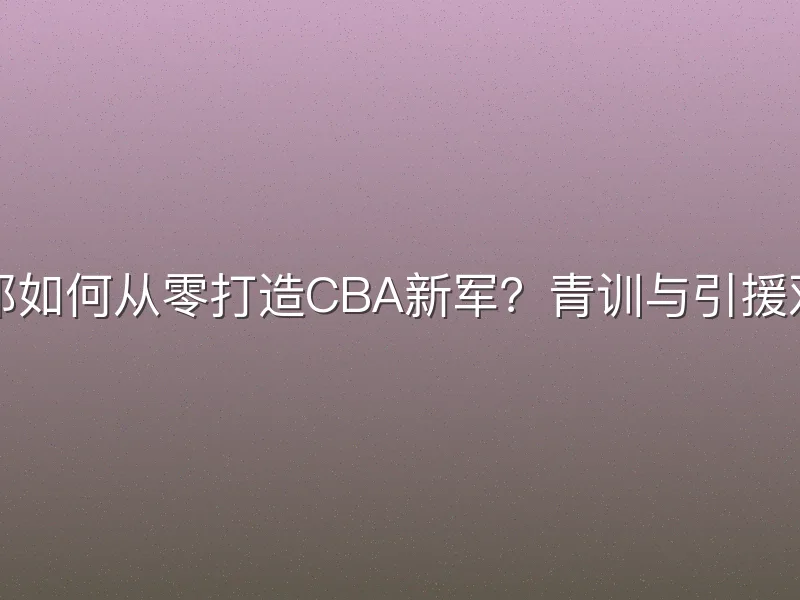 宁波富邦如何从零打造CBA新军？青训与引援双线并进