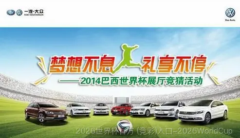 我们的故事：从热爱到专业