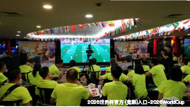 未来愿景与发展方向